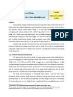 Paper Bio Eritrosit Edited2