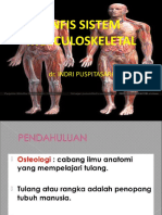 5. Anfis Siatem Muskuloskeletal