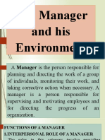 The Manager and His Environment