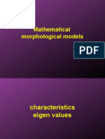 Mathematical Morphological Models