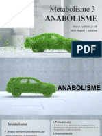 Anabolisme