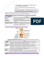 Taller Tracto Gastrointestinal (Morfofisiología)