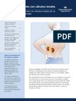 Kidney Stone Owner&#39;s Manual Spanish