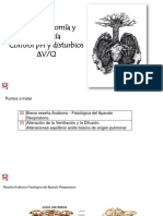 22-23 Anatomia - Distubio VQ y Acido Básico