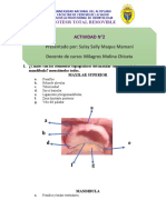 Protesis