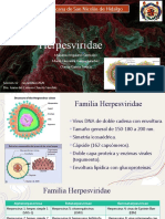 Herpesviridae - Revisada