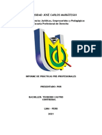 Informe Practicas Preprofesionales Ujcm-2021