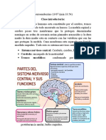 Neuroendocrino