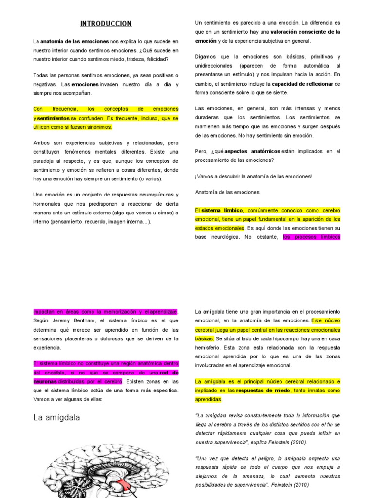 Anatomía de la Amígdala y Emociones | PDF | Las emociones | Amígdala