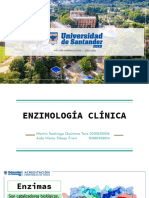 Enzimologia Clinica
