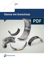 Danos em Bronzinas KSPG