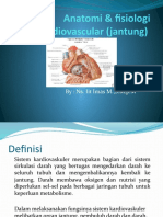 Anatomi & Fisiologi Cardiovascular (Jantung)