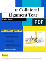 Ulnar Collaterl Ligament