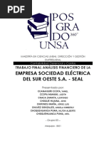Grupo3_ Análisis Financiero Sociedad Eléctrica del Sur Oeste - SEAL