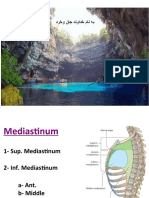 05 - Mediastinum - Heart