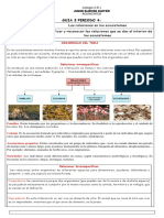 Guia 3 Periodo 4 Relaciones en Los Ecosistemas