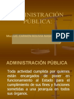 Administracion Publica 1