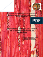 Anatomía 58 maderas tropicales UNAMAD