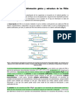 2 Transcripcion Procariontes 