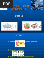 Microbiologie 1 Curs 02a