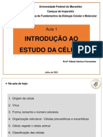 Aula 1 - Introdução A Células