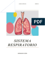 S. Respiratorio, Digesivo y Cardiovascular