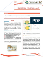 Biología 1º, 2º, 3º DE SEC - SEGUNDO TEMA