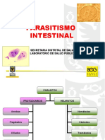 Amebas PDF