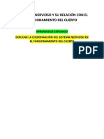 El Sistema Nervioso y Su Relación Con El Funcionamiento Del Cuerpo