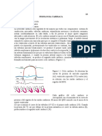 Fisiologia Cardiaca