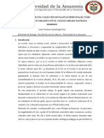 Implementación de Una Colección de Plantas Medicinales Como Parte Del Huerto Organico en El Colegio Misael Pastrana Borrero - Laura Artunduaga