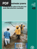 Download FAO Macro Bra Chi Um Manual 2003 by xeexe SN53746726 doc pdf