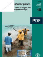 FAO Macro Bra Chi Um Manual 2003