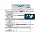 MATRIZ PCI. Cristian