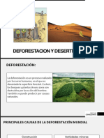 Deforestacion