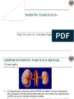 Hipertension-Vasculo-Renal