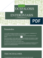 4 Tricocefalosis