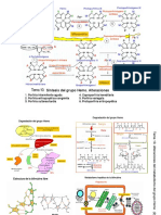 Sintesis Hemoglobina