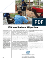 Labour Migration Infosheet 2008