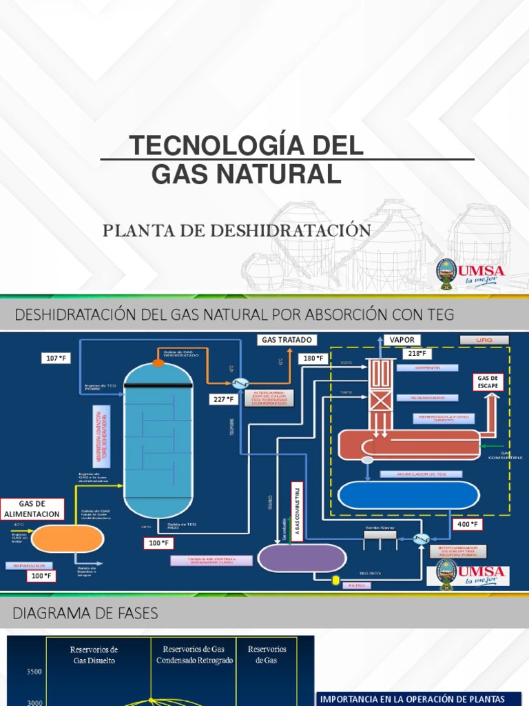 Presentación Tegnología Del Gas Natural - 4 | PDF