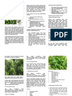 Pembuatan Pestisida Nabati Leaflet