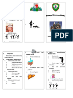 Alkohol Miras Leaflet PDF Free