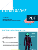 introduksi sistem saraf