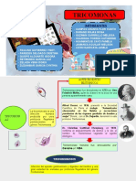 PARASITOLOGIA TRICHOMONAS Terminado