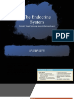 The Endocrine System: Sekolah Tinggi Teknologi Industri Farmasi Bogor