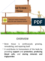 The Skeletal System: Bone Tissue: Sekolah Tinggi Teknologi Industri Dan Farmasi Bogor