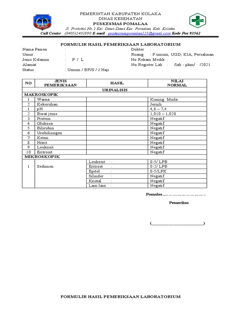 Form Laporan Hasil Pem Lab | PDF