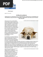 A ética do cachorro