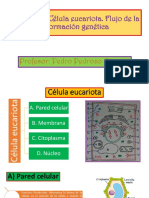 Capítulo 3 - Teoría