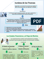 La Naturaleza de Las Finanzas